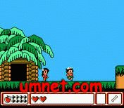 game pic for Adventure Island 4 Nintendo